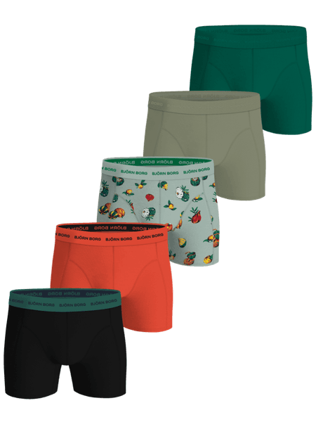 Björn Borg Cotton Stretch Boxers 5-pack Multi, L
