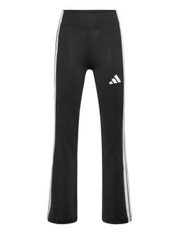 adidas Sportswear M Z.n.e. Fz - - XS 13