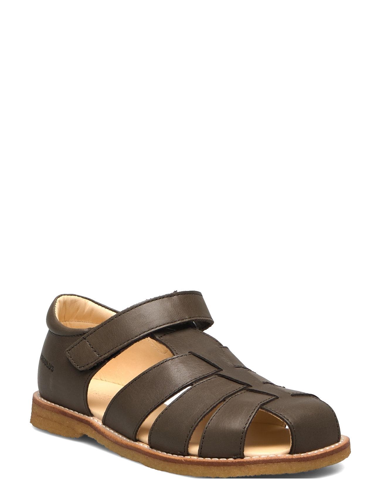 ANGULUS Sandals - Flat - Closed Toe - - 24
