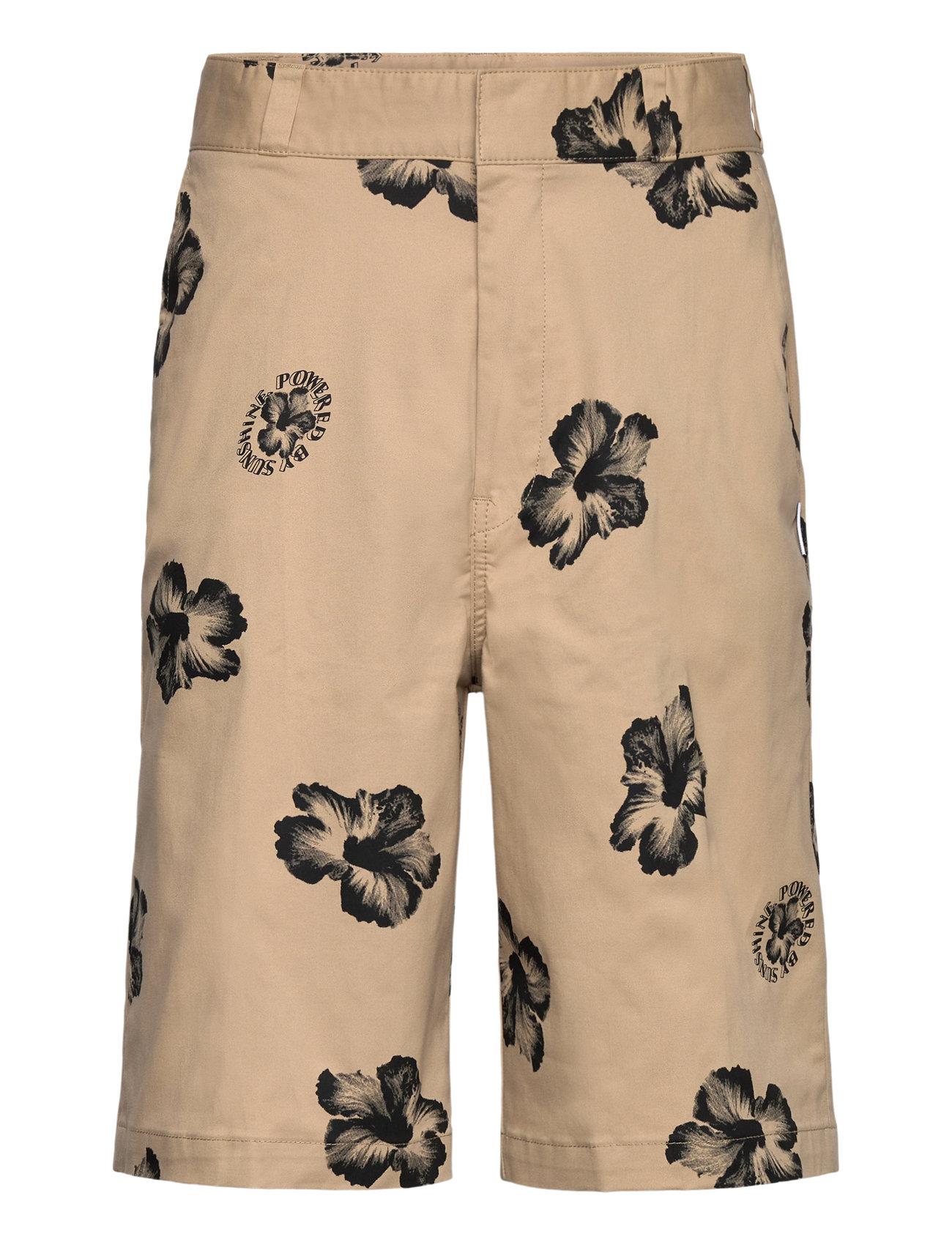 HUGO Gimusa_B - - 25 33