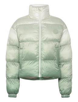 HUGO Gimusa_B - - 25 16